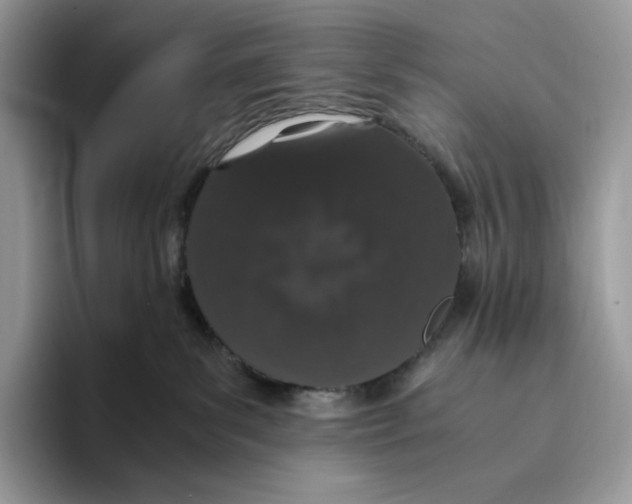 X0000093530139200711091805