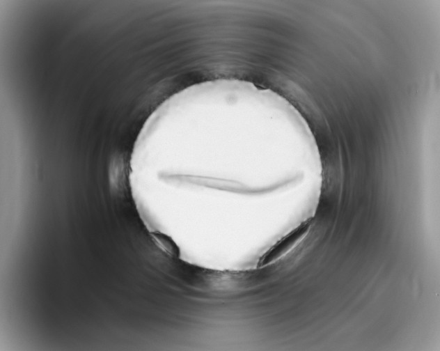 X0000093530142200711091805