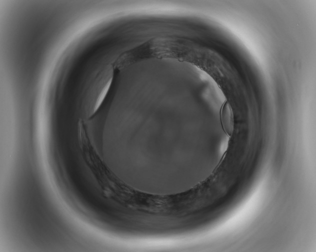 X0000093530143200711091805