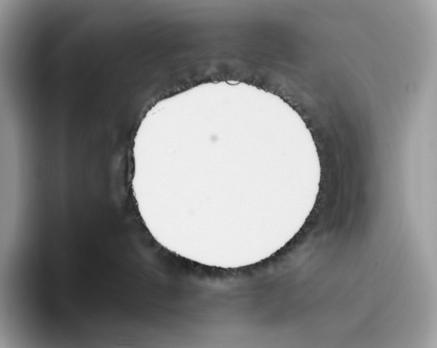 X0000093530144200711091805