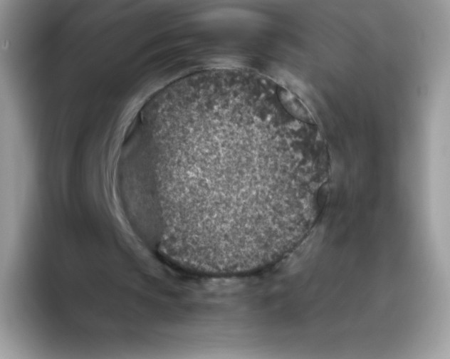 X0000093530145200711091804