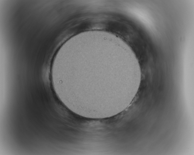 X0000093530146200711091804