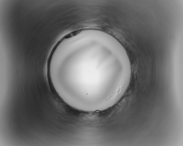 X0000093530148200711091804