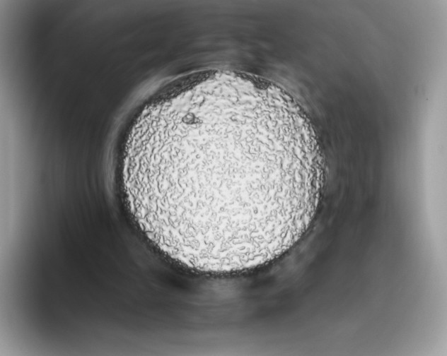 X0000093530149200711091804
