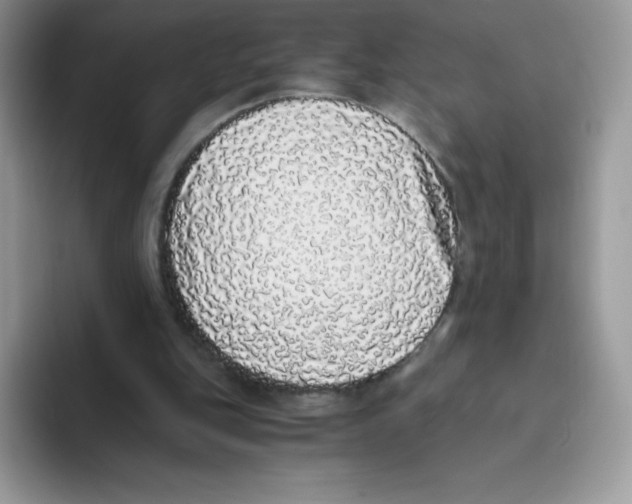 X0000093530151200711091804