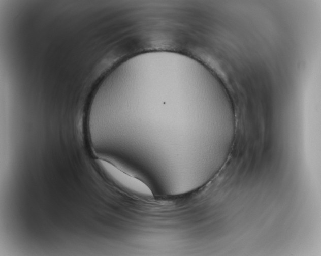 X0000093530154200711091804