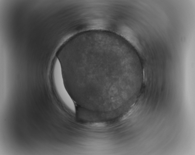 X0000093530156200711091804
