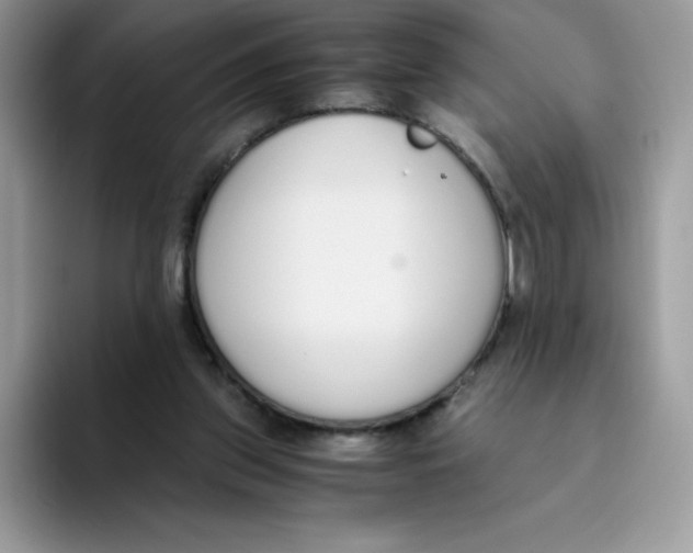X0000093530157200711091804