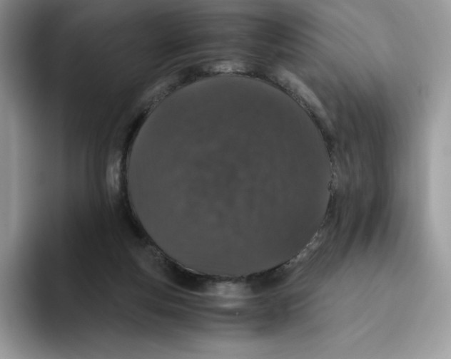 X0000093530163200711091804