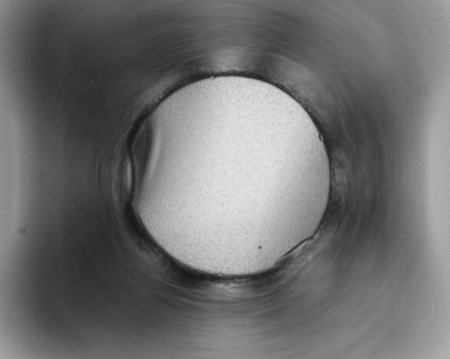 X0000093530164200711091804