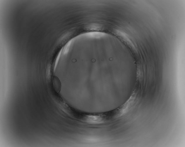 X0000093530167200711091804