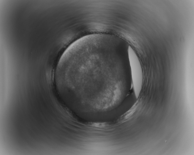 X0000093530168200711091804