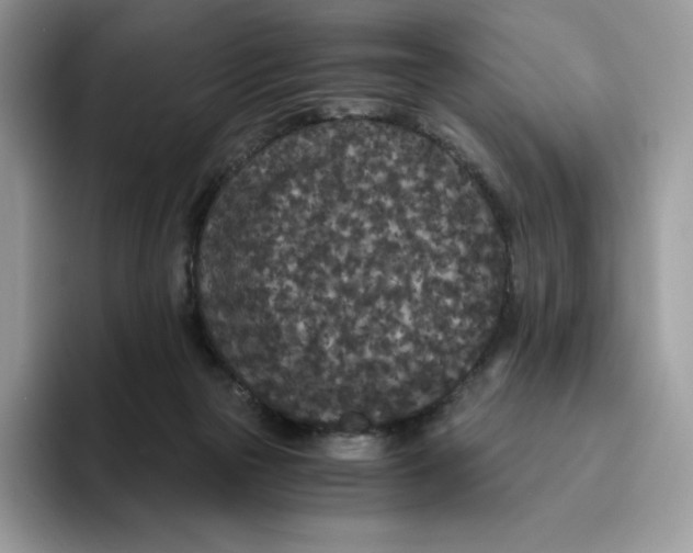 X0000093530169200711091804