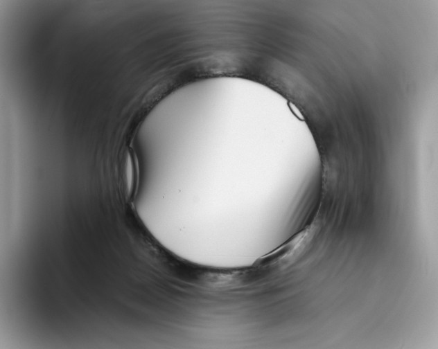 X0000093530170200711091804