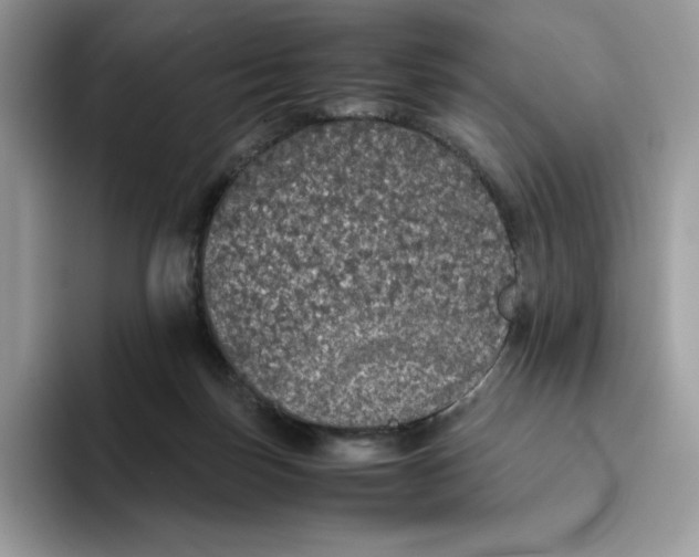 X0000093530171200711091804