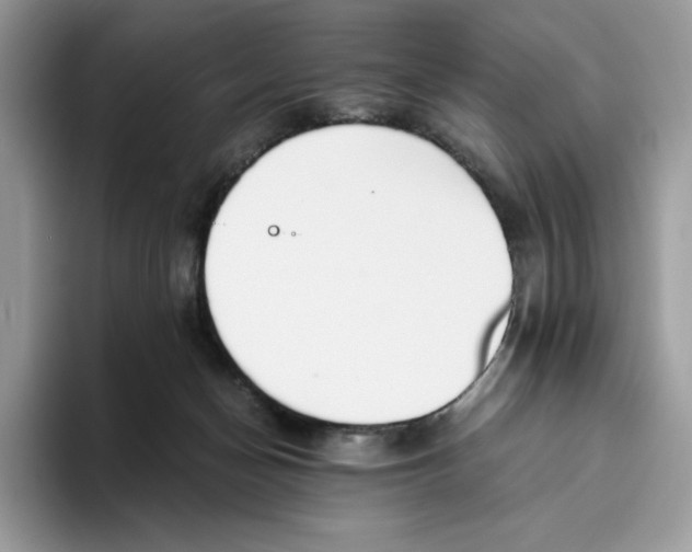 X0000093530174200711091804