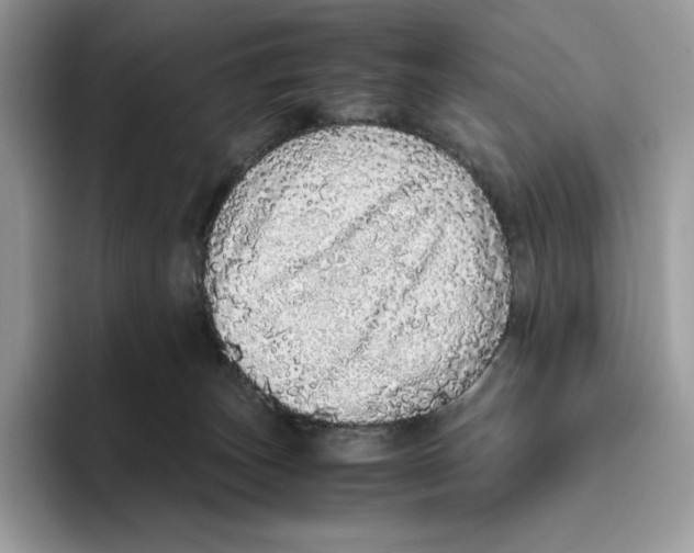 X0000093530179200711091804