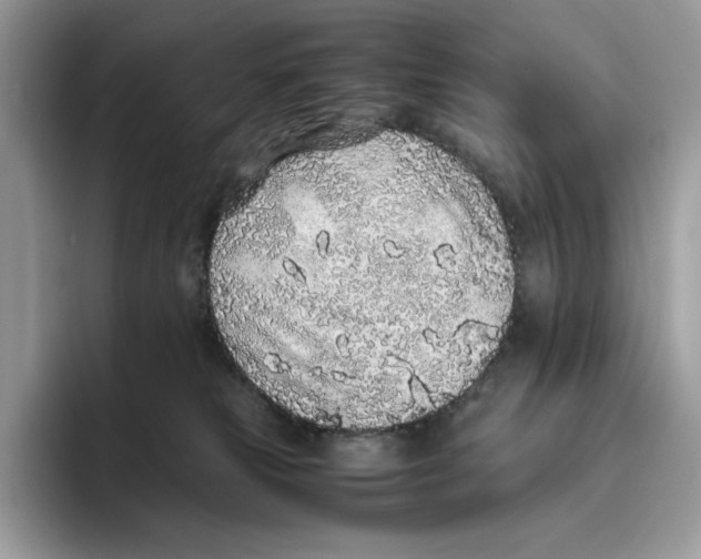 X0000093530181200711091804