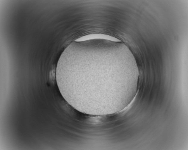 X0000093530190200711091804