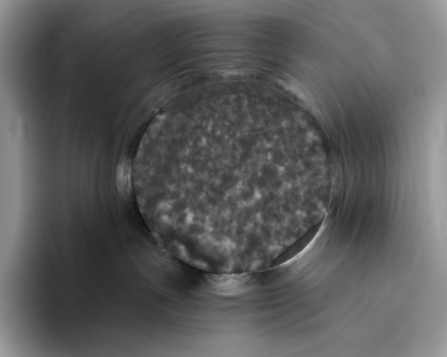 X0000093530191200711091805