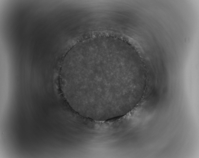 X0000093530192200711091805