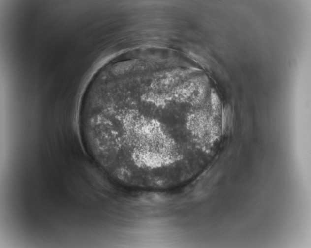 X0000093530195200711091804