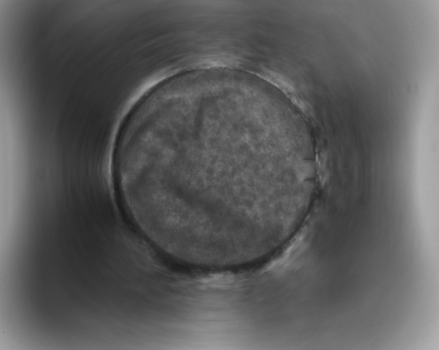 X0000093530196200711091804