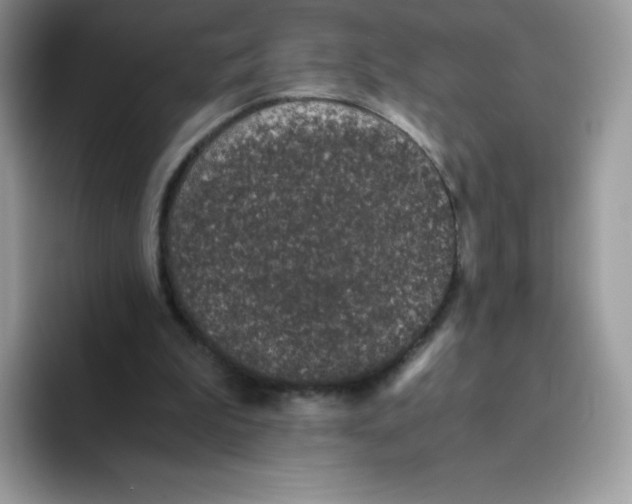 X0000093530199200711091804