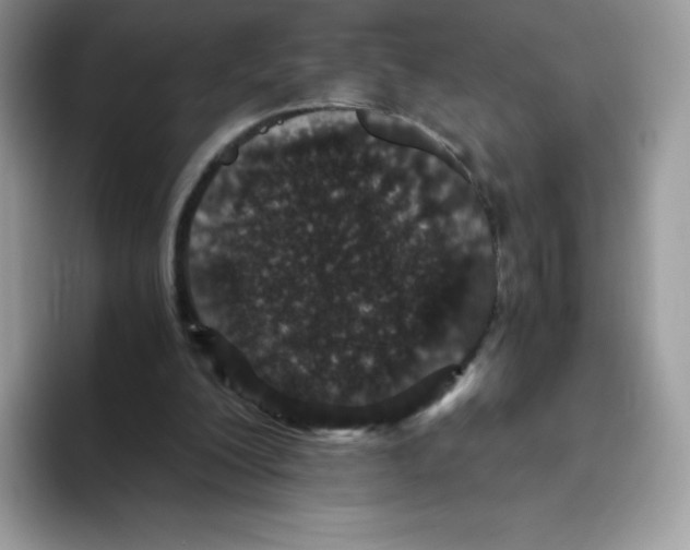 X0000093530200200711091804