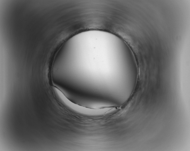 X0000093530201200711091804