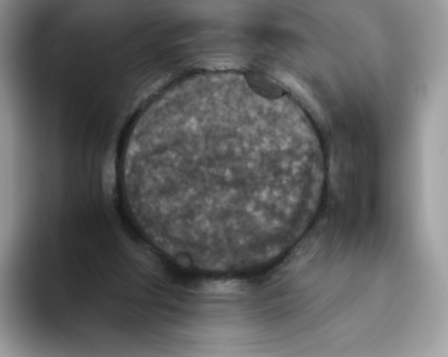 X0000093530202200711091804