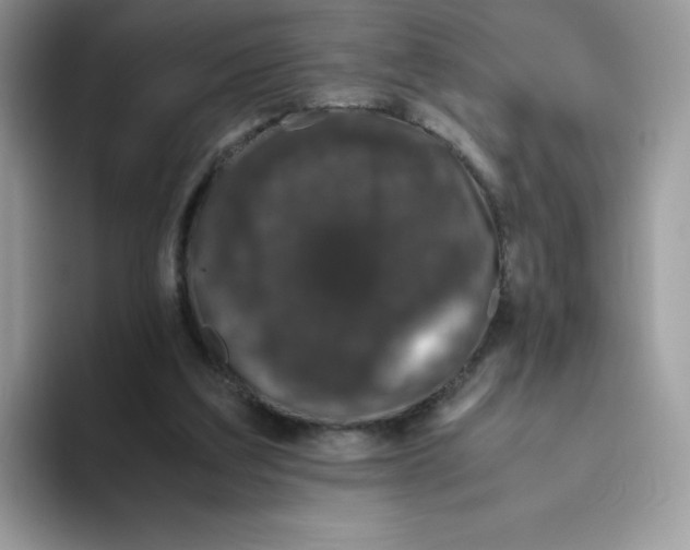 X0000093530203200711091804