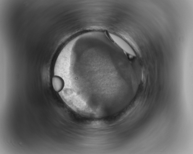 X0000093530204200711091804