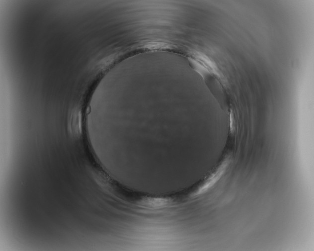 X0000093530205200711091804