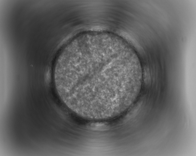X0000093530208200711091804
