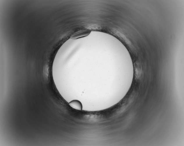 X0000093530211200711091804