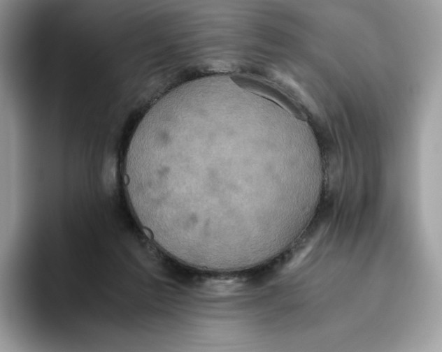 X0000093530213200711091804