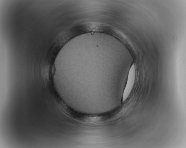 X0000093530217200711091804