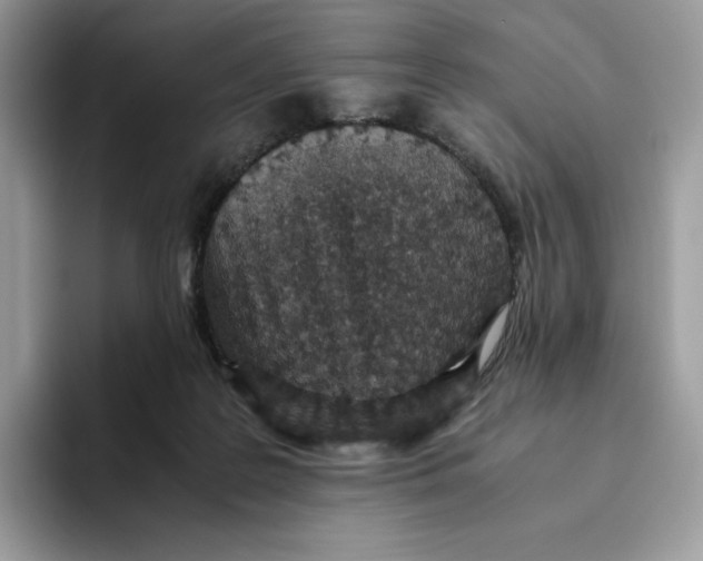 X0000093530219200711091804