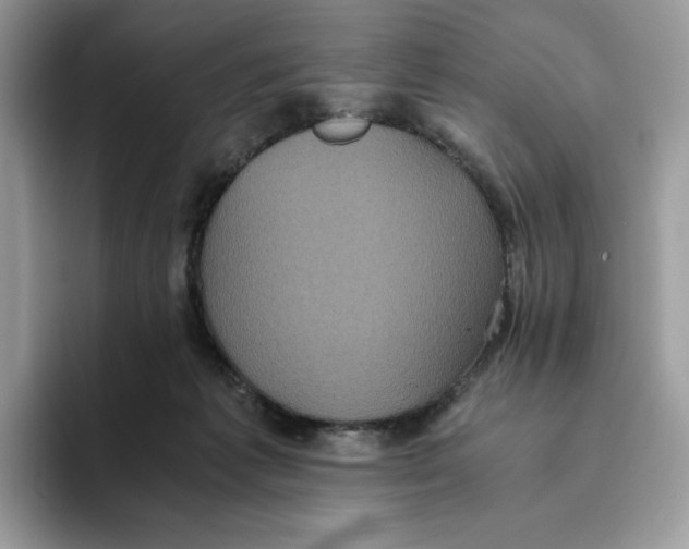 X0000093530221200711091804