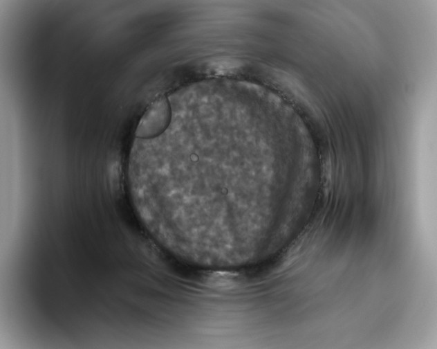 X0000093530222200711091804