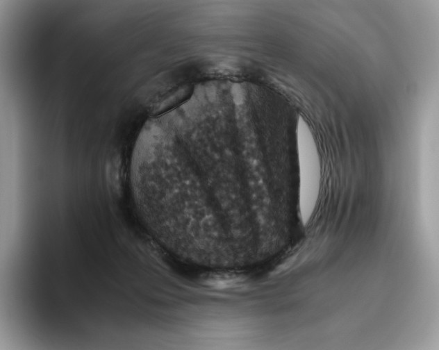 X0000093530223200711091804