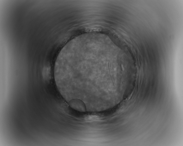 X0000093530224200711091804