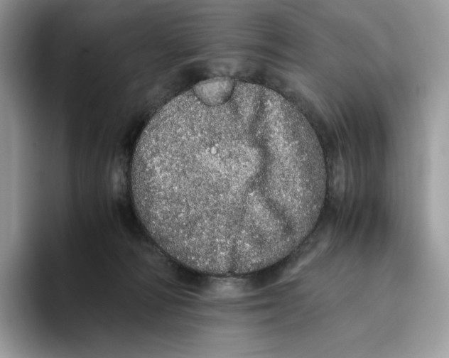 X0000093530226200711091803
