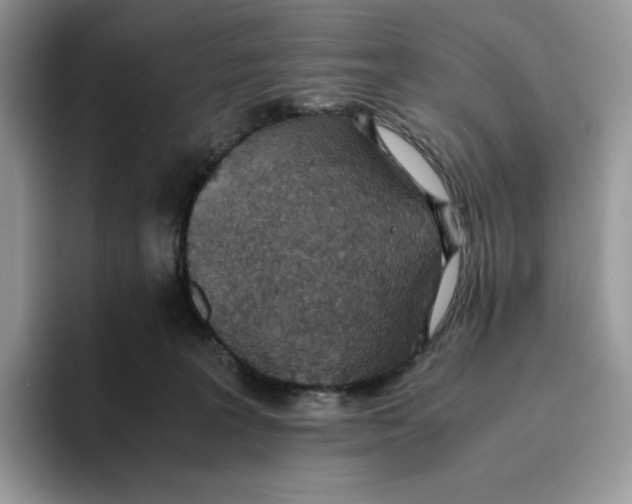 X0000093530227200711091803