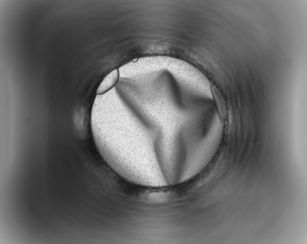 X0000093530228200711091803