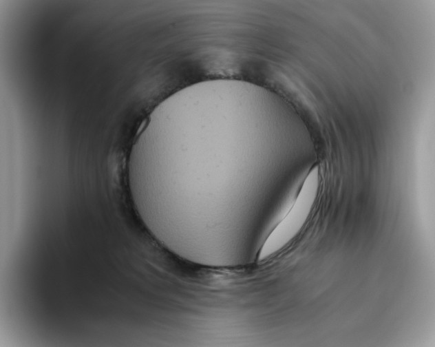 X0000093530229200711091803