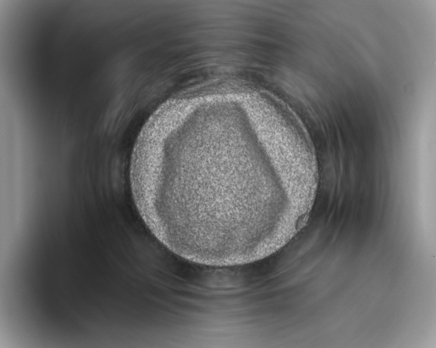 X0000093530230200711091803