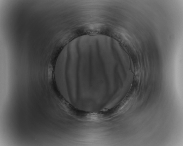X0000093530231200711091803