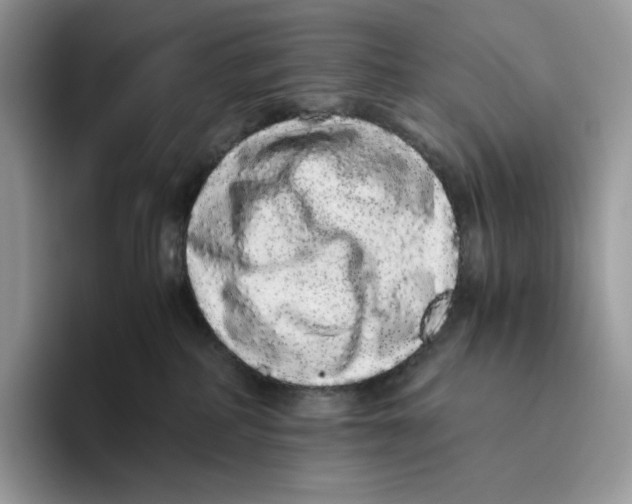 X0000093530234200711091803